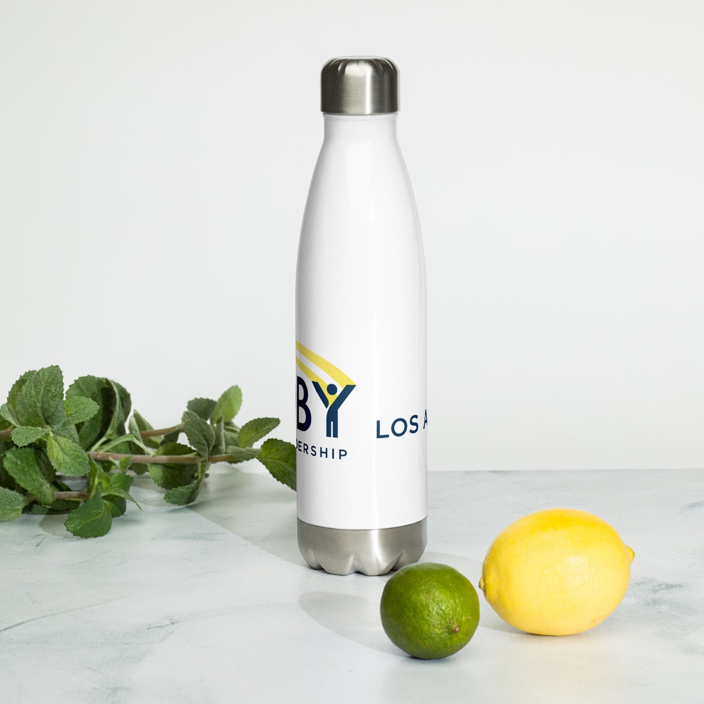 Stainless Steel Water Bottle